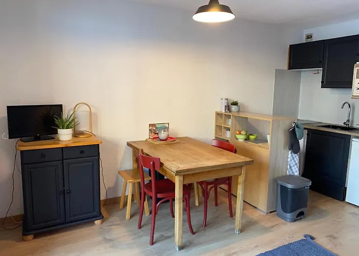 Location Studio Plein Centre Les Carroz